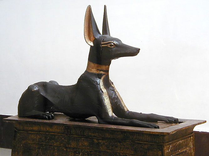 anubis1
