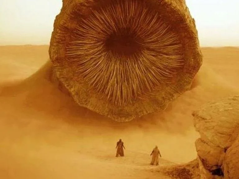 dune ver